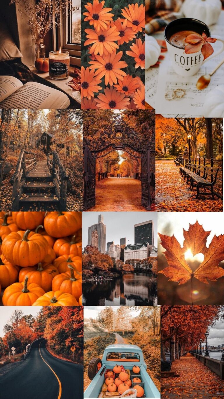 24 Fall Wallpapers For Iphone