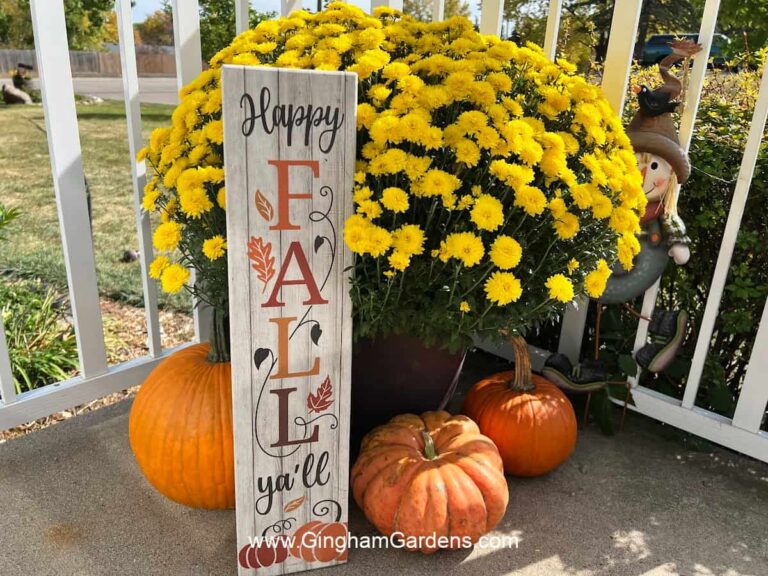 31 Fall Garden Ideas